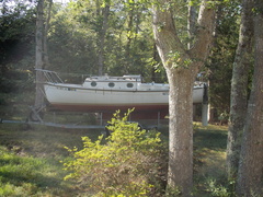 Image file: photo04.jpg