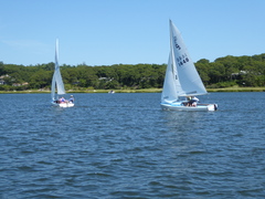 Image file: photo11.jpg