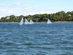 Image file: photo026.jpg