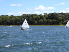 Image file: photo056.jpg