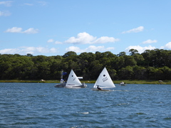 Image file: photo057.jpg