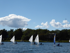 Image file: photo084.jpg