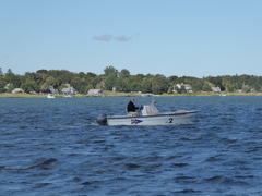 Image file: photo093.jpg