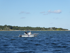 Image file: photo094.jpg