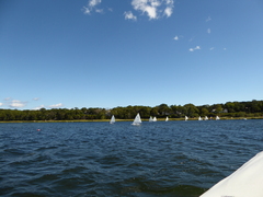 Image file: photo095.jpg