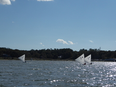 Image file: photo102.jpg