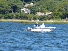 Image file: photo109.jpg