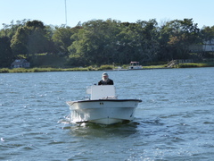 Image file: photo119.jpg