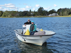 Image file: photo01.jpg