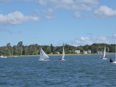 Image file: photo11.jpg