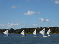 Image file: photo17.jpg