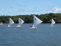 Image file: photo31.jpg