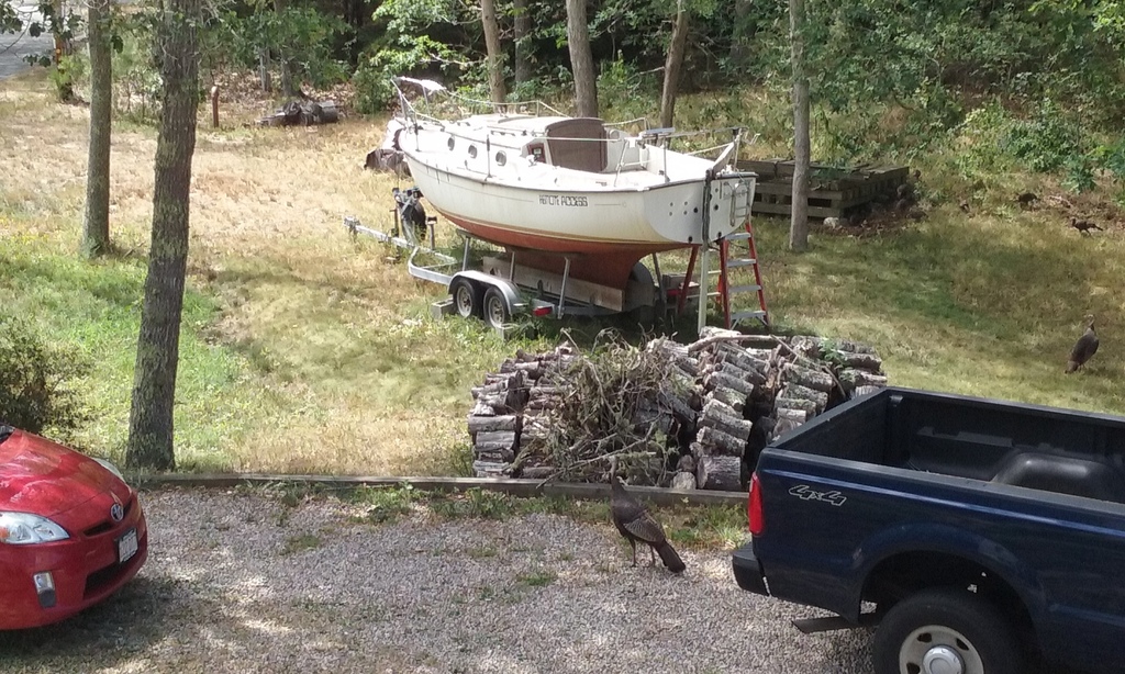 No description provided for: /2016/07-09/0821-more-turkeys/photo05.html