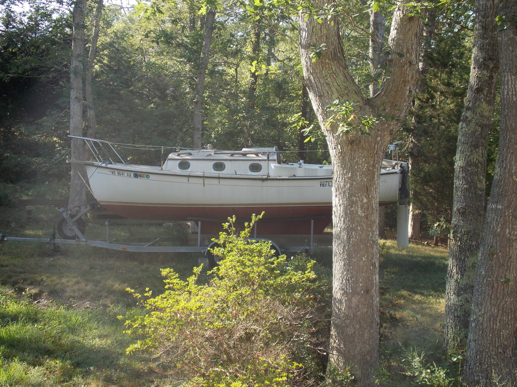 No description provided for: /2016/07-09/0824-sparky/photo04.html