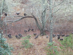 Image file: photo01.jpg