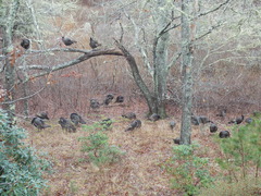 Image file: photo02.jpg