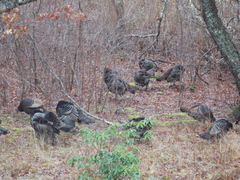 Image file: photo05.jpg