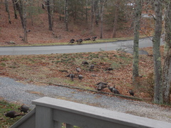 Image file: photo08.jpg