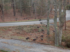 Image file: photo09.jpg