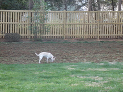 Image file: photo02.jpg