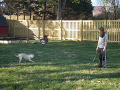 Image file: photo01.jpg