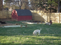 Image file: photo02.jpg