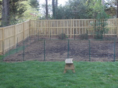 Image file: photo11.jpg