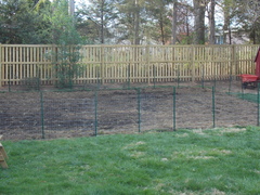 Image file: photo12.jpg