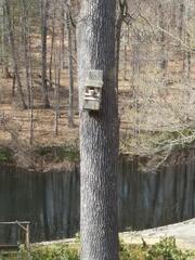 Image file: photo01.jpg