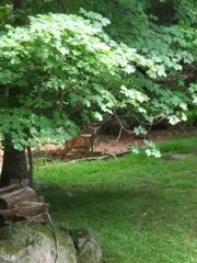 Image file: photo02.jpg