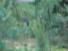 Image file: photo01.jpg