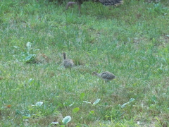 Image file: photo05.jpg