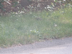 Image file: photo06.jpg