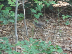 Image file: photo09.jpg