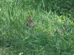 Image file: photo14.jpg