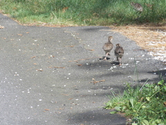 Image file: photo17.jpg