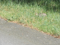 Image file: photo18.jpg