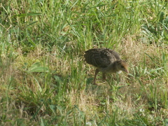 Image file: photo19.jpg