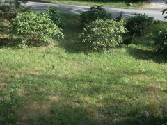 Image file: photo21.jpg