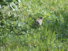 Image file: photo24.jpg