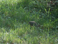 Image file: photo27.jpg