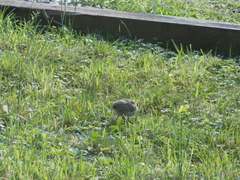 Image file: photo28.jpg