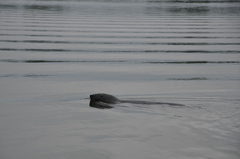 Image file: photo25.jpg