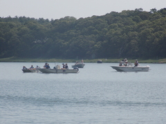 Image file: photo007.jpg