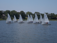 Image file: photo217.jpg