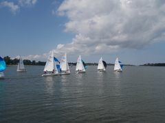 Image file: photo222.jpg