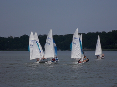 Image file: photo225.jpg