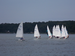 Image file: photo226.jpg