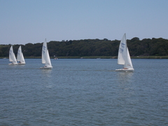 Image file: photo228.jpg