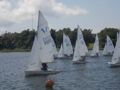 Image file: photo238.jpg